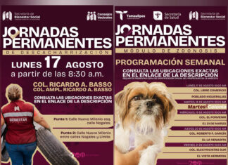 Matamoros mantiene jornadas de zoonosis y descacharrización en colonias y comunidades