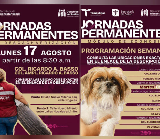 Matamoros mantiene jornadas de zoonosis y descacharrización en colonias y comunidades