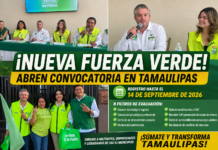 Partido Verde abre registro en Tamaulipas para integrar nuevos perfiles a su estructura