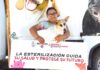 Brinda Gobierno de Carlos Peña Ortiz esterilizaciones a caninos en situación de calle