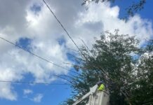 Atendió Gobierno de Reynosa alumbrado público en la colonia Obrera