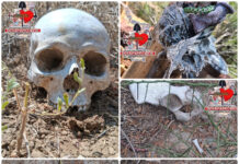 Localizan restos humanos y una fosa clandestina en Miguel Alemán