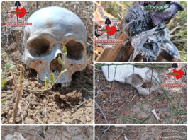 Localizan restos humanos y una fosa clandestina en Miguel Alemán