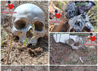 Localizan restos humanos y una fosa clandestina en Miguel Alemán