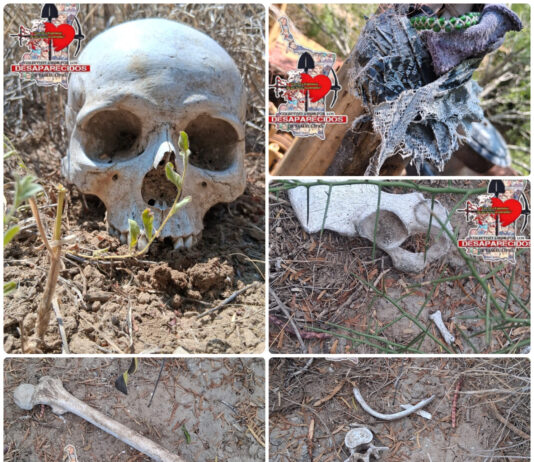 Localizan restos humanos y una fosa clandestina en Miguel Alemán