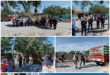 Refuerzan acciones preventivas contra criaderos de mosquito en colonias de Matamoros