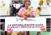 Gobierno de Carlos Peña Ortiz brinda esterilización a mascotas del refugio La Casita de Tía Lily