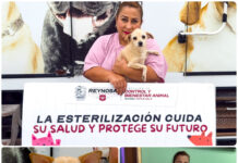 Gobierno de Carlos Peña Ortiz brinda esterilización a mascotas del refugio La Casita de Tía Lily